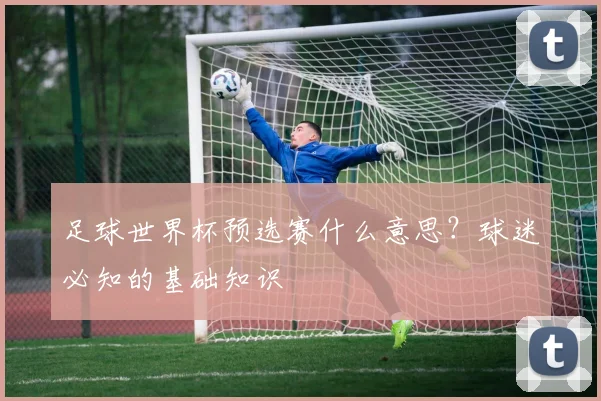足球世界杯预选赛什么意思?球迷必知的基础知识