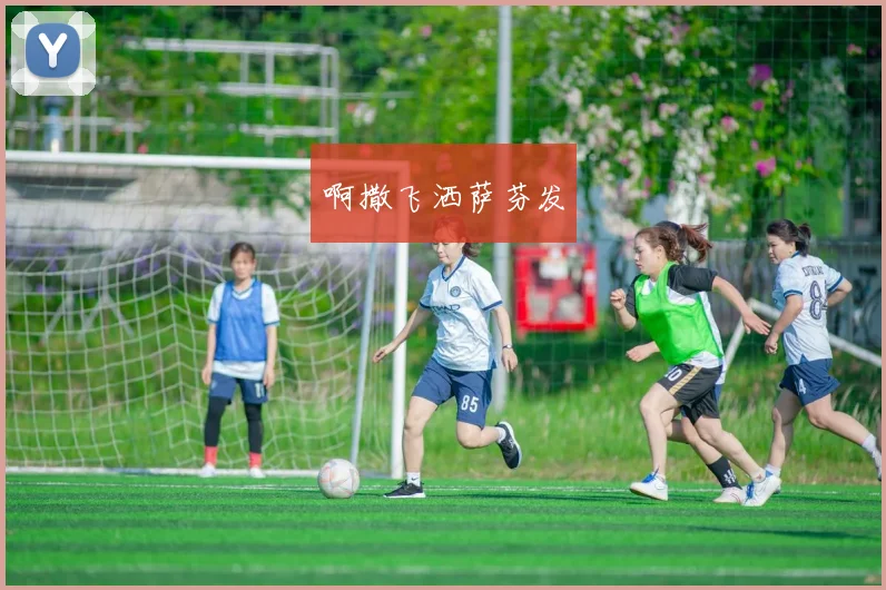 世界杯直播视频免费在线观看高清全场回放